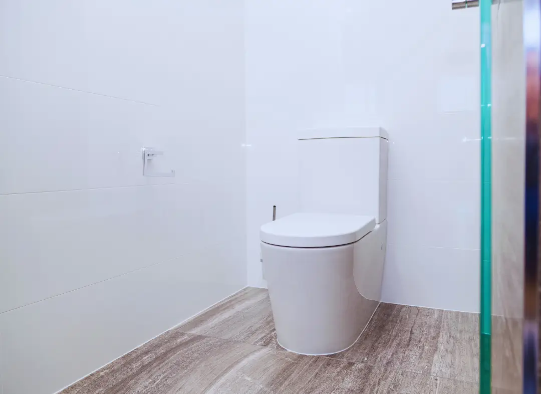 Remplacement de wc Villeneuve-lès-Avignon